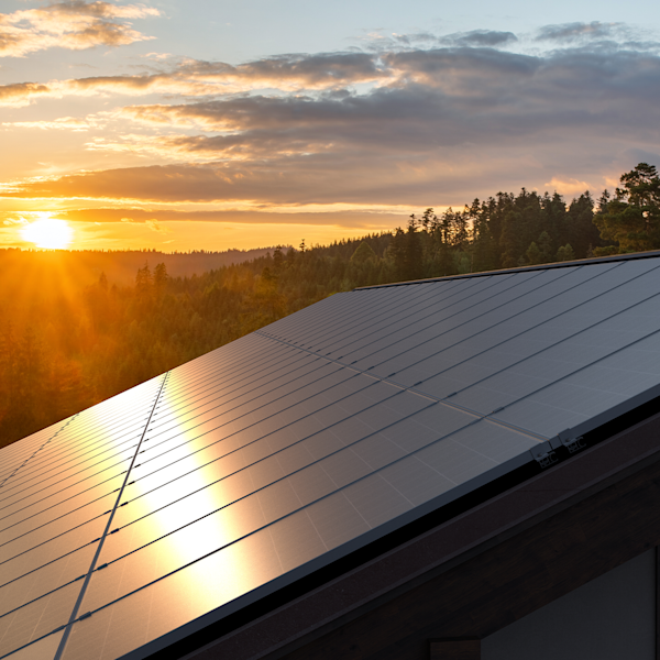 How Much Energy Do Solar Panels Produce in California?