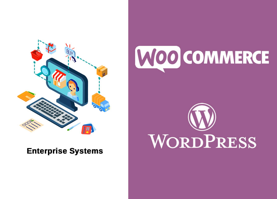 Integrate Woo Commerce with cloud ERP systems to manage E-Commerce