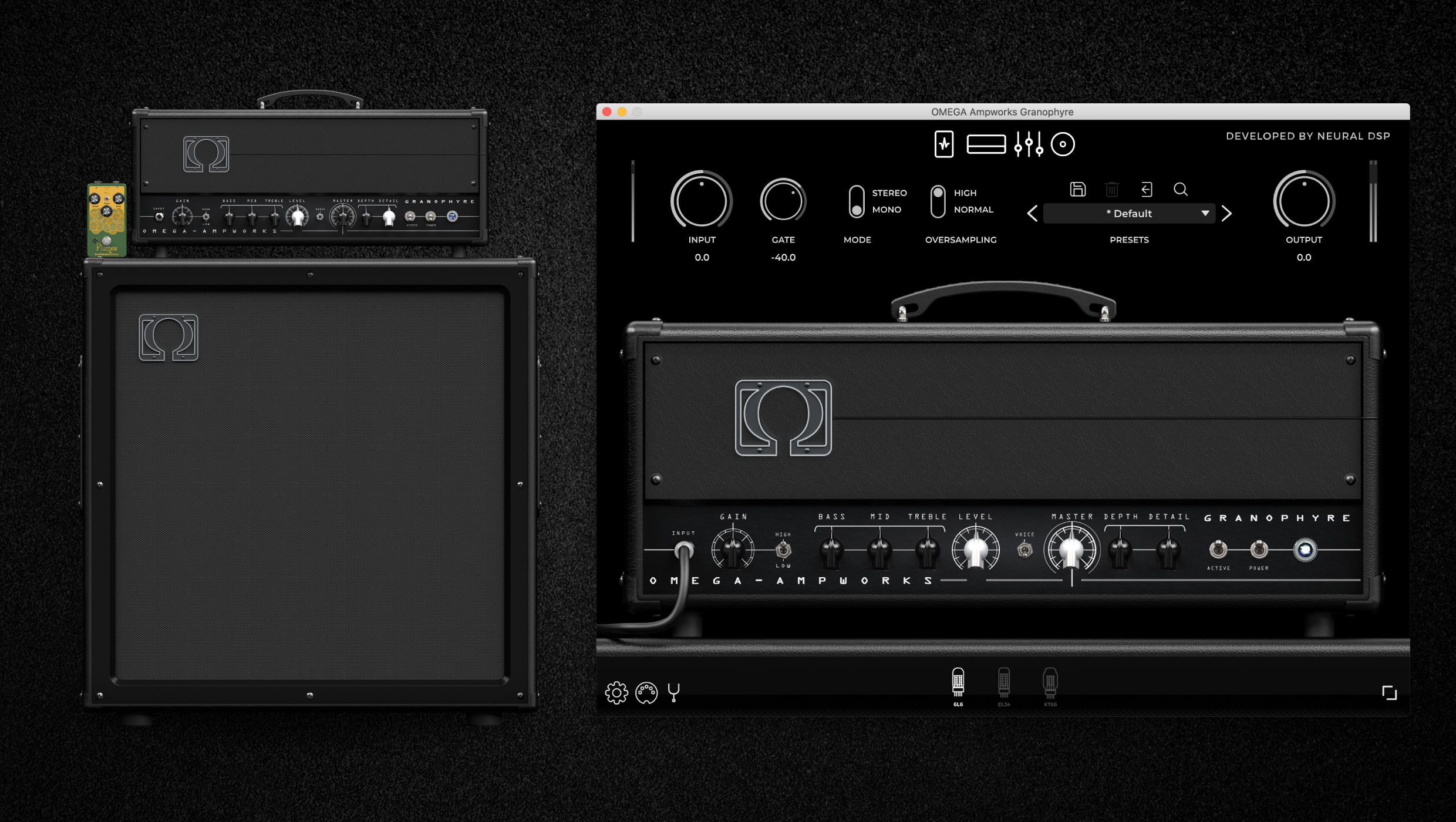 neural dsp bass