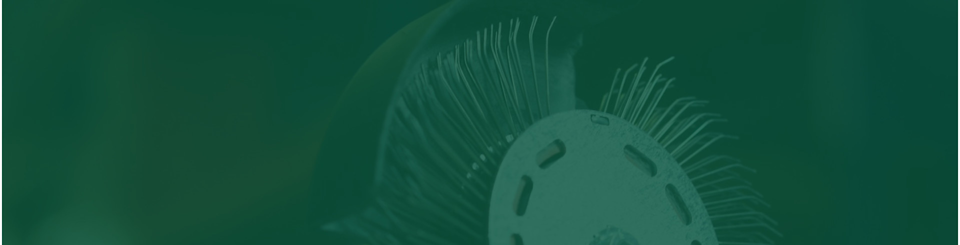 casesbanner