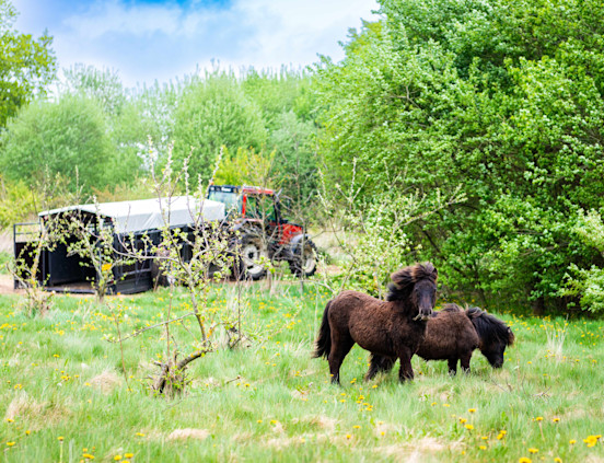 Pilotprojekt i Vejle