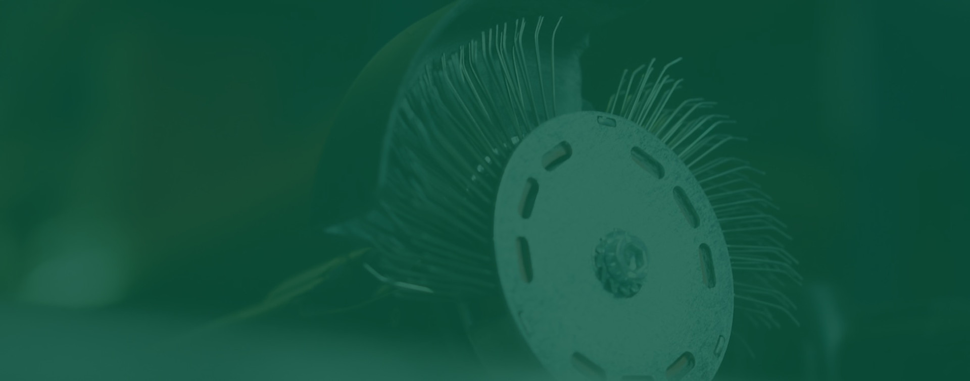 bristle-blaster-category-banner