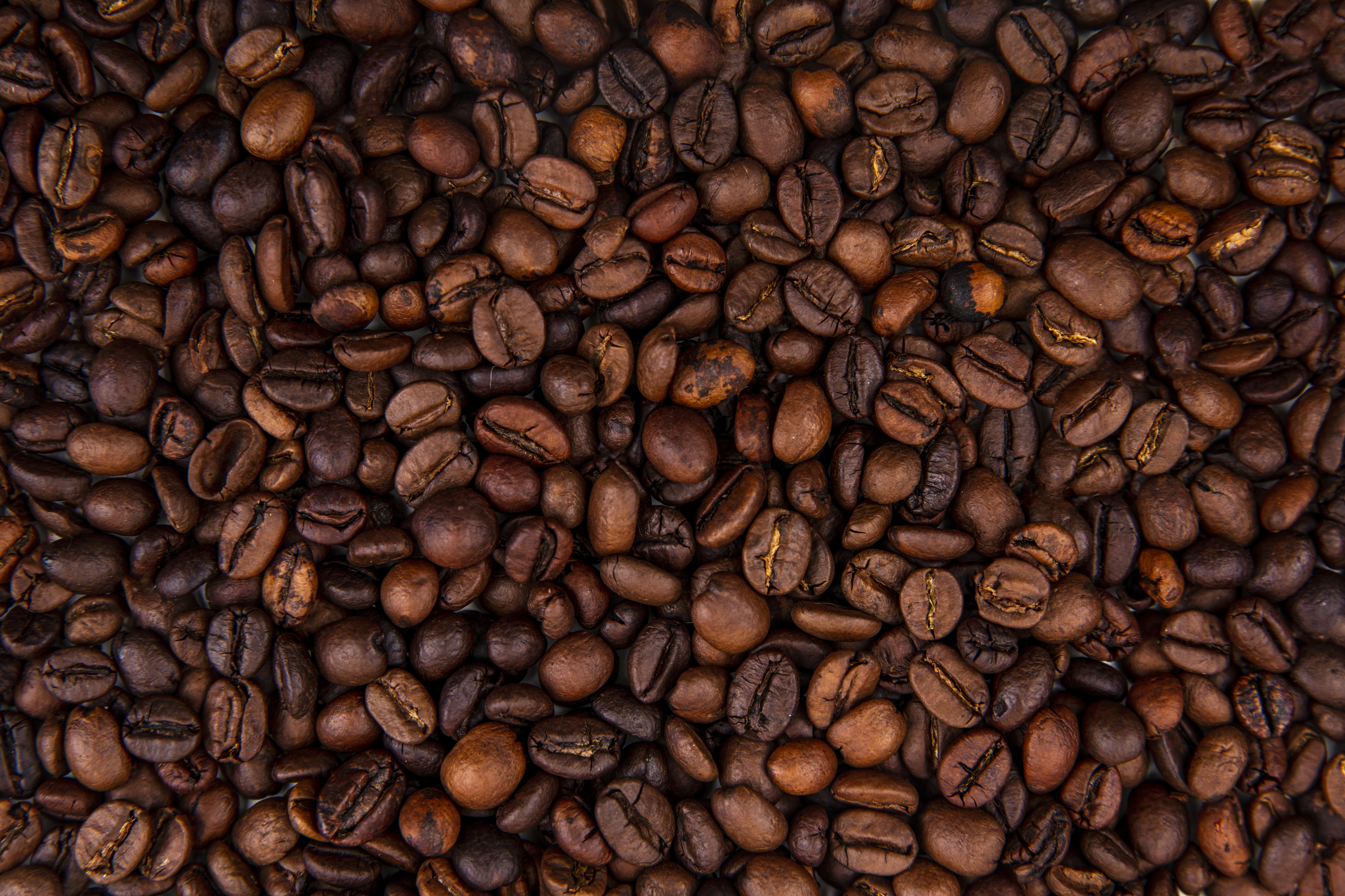 Guía básica de café para rendimiento deportivo