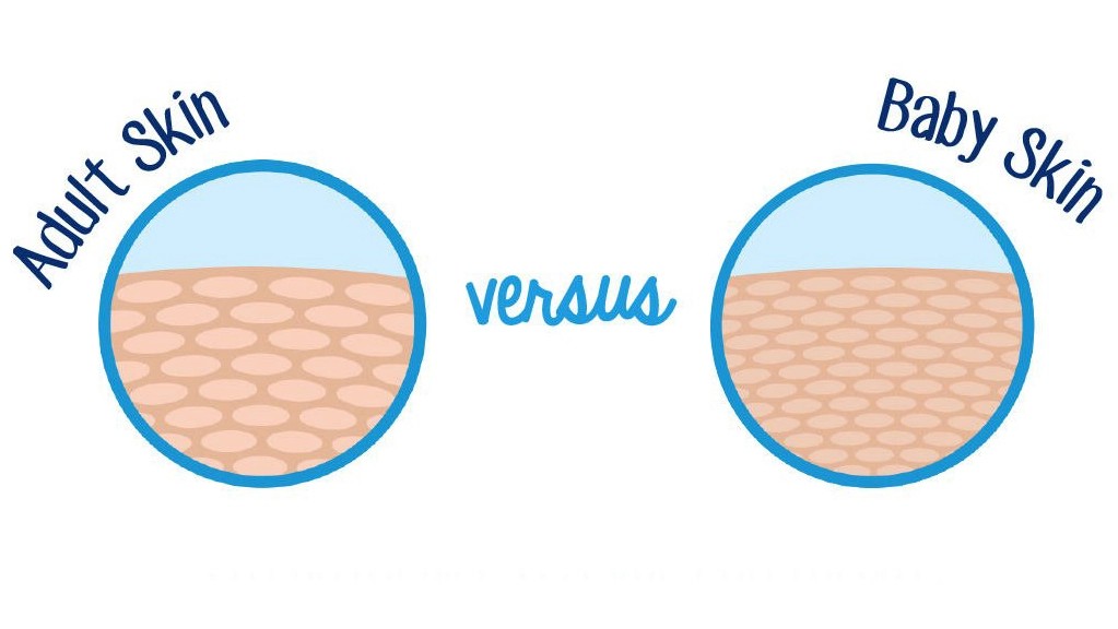 Illustration of a diagram comparing adult skin and baby skin with the text 'However, their skin is much more fragile: Adult Skin versus Baby Skin. Structurally, it's very different.'