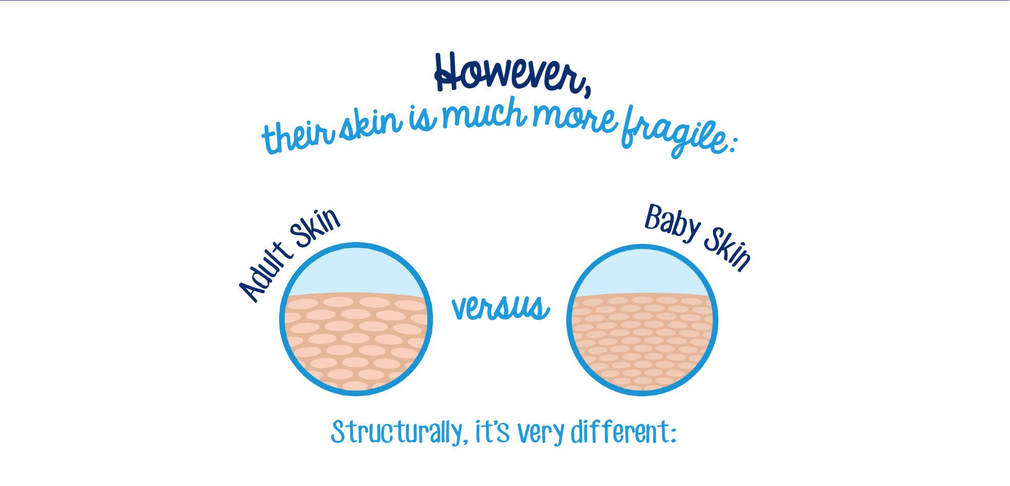 Illustration of a diagram comparing adult skin and baby skin with the text 'However, their skin is much more fragile: Adult Skin versus Baby Skin. Structurally, it's very different.'