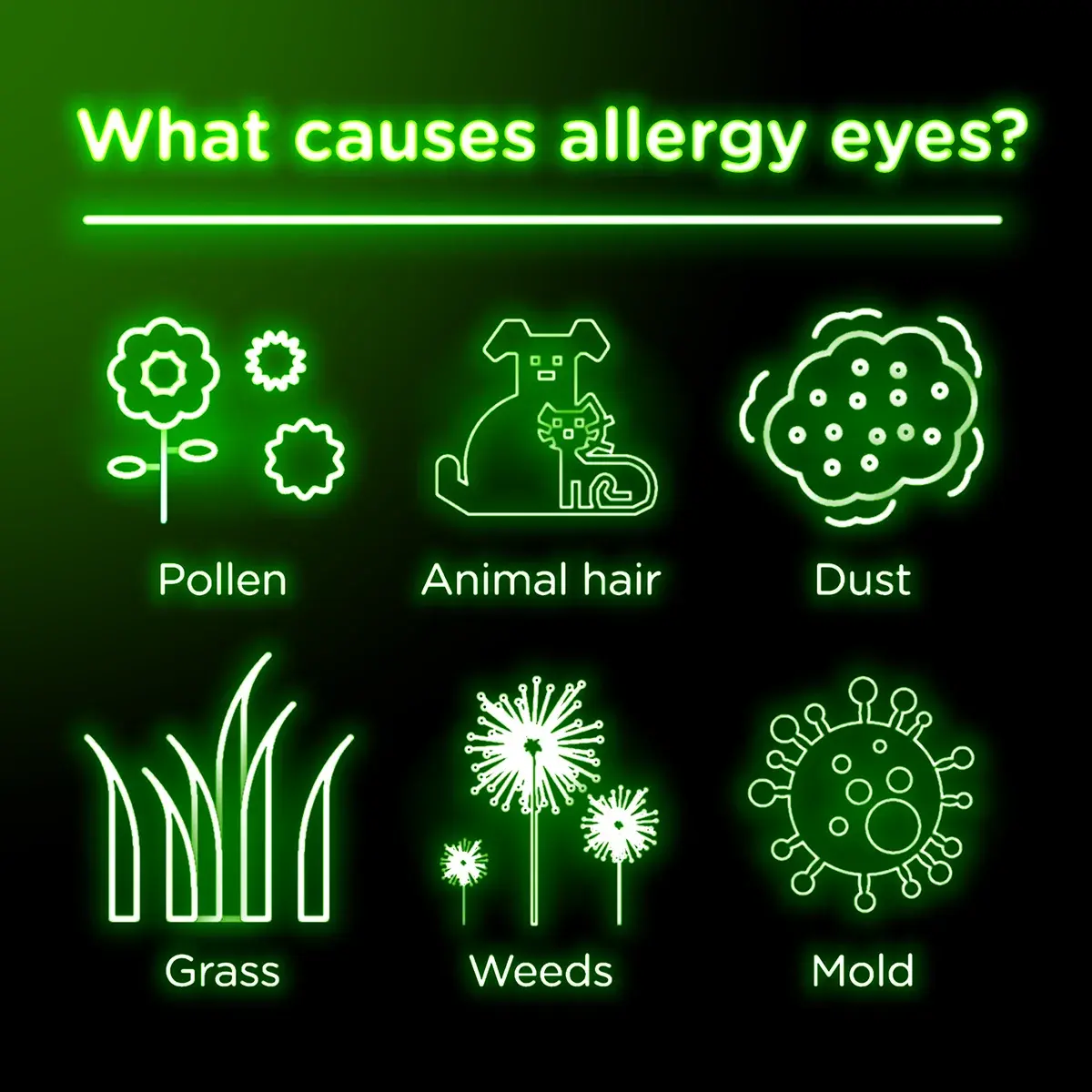Pollen, animal hair, dust, grass, weeds, and mold can cause allergy eyes