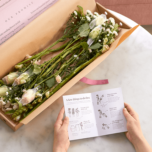 Same Day Flower Delivery Uk Sunday Best Flower Site