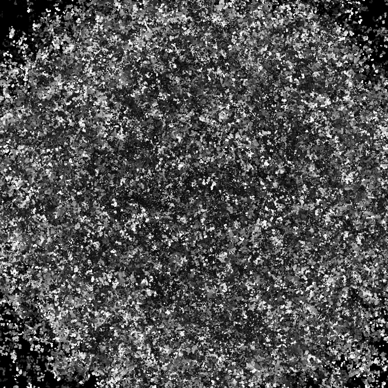 generative art piece that resembles white noise