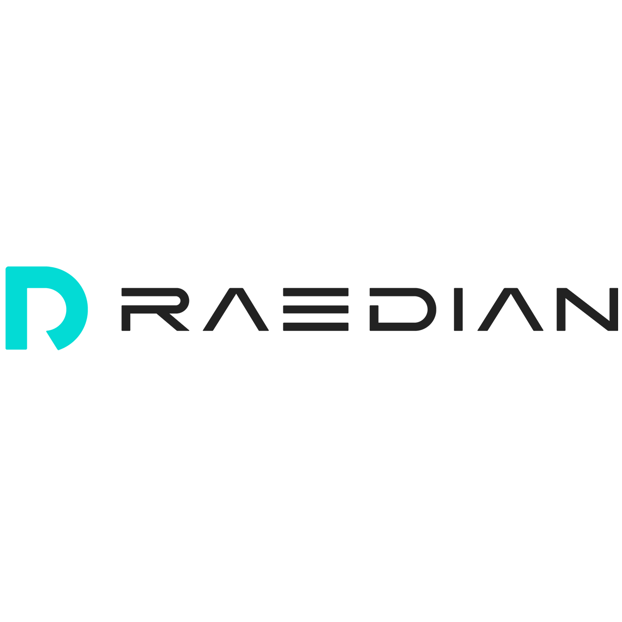 RAEDIAN New Energy Technology Co. Ltd.
