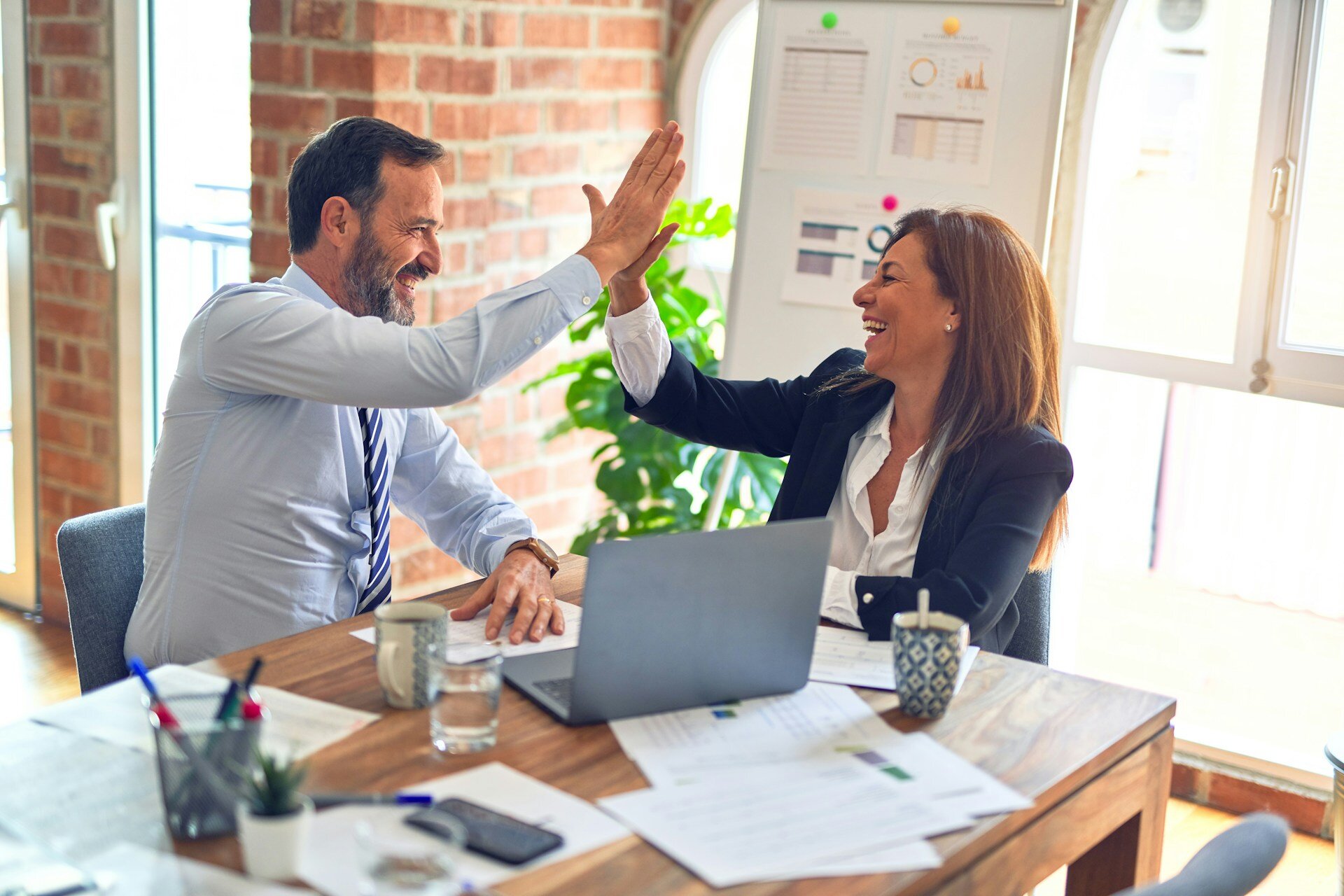 Professional Lawyers and Accountants Team