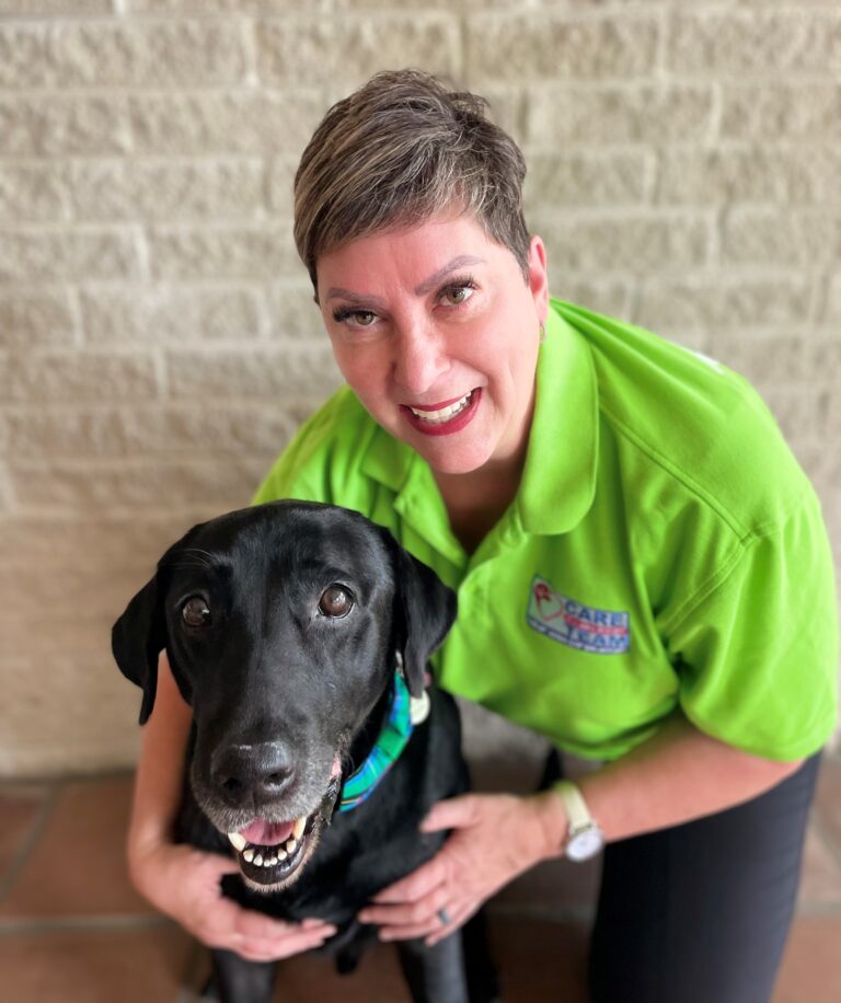 Sanchez, Amy and Harry