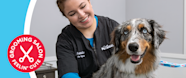 PetSmart Pet Grooming Locations KELOWNA 