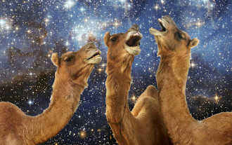 camel-space-case
