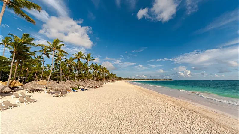 domrepbavaro