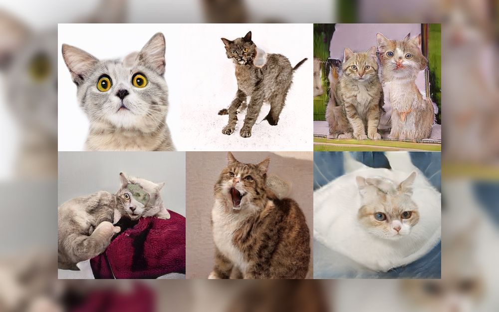 ai generated cats