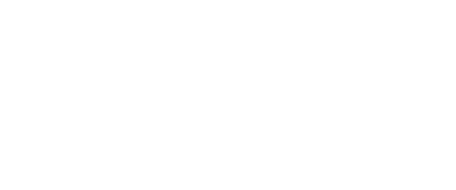 ARIS logo