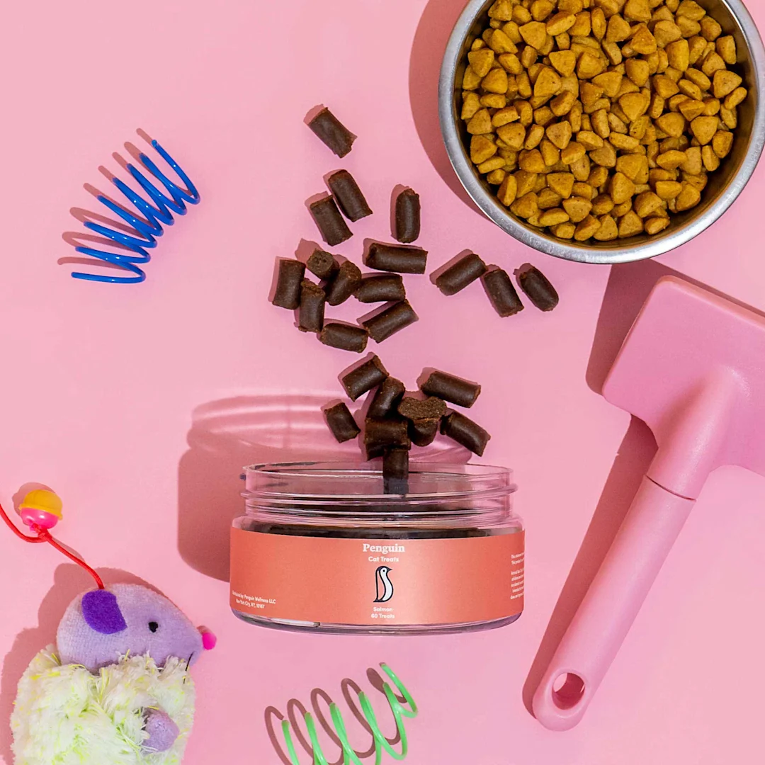 How Do CBD Treats Help Cats With Anxiety?