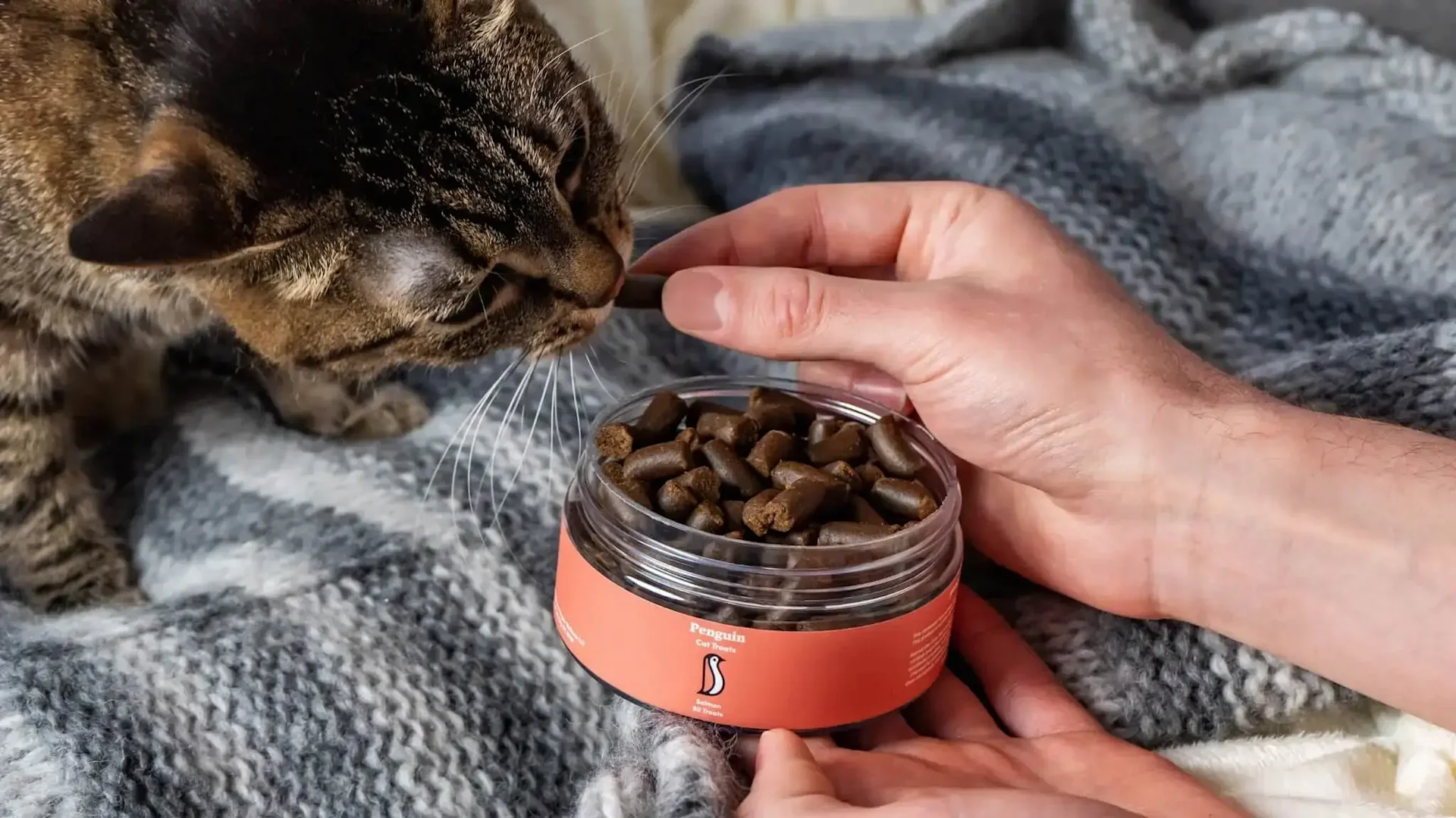 Penguin CBD | Pet Cbd