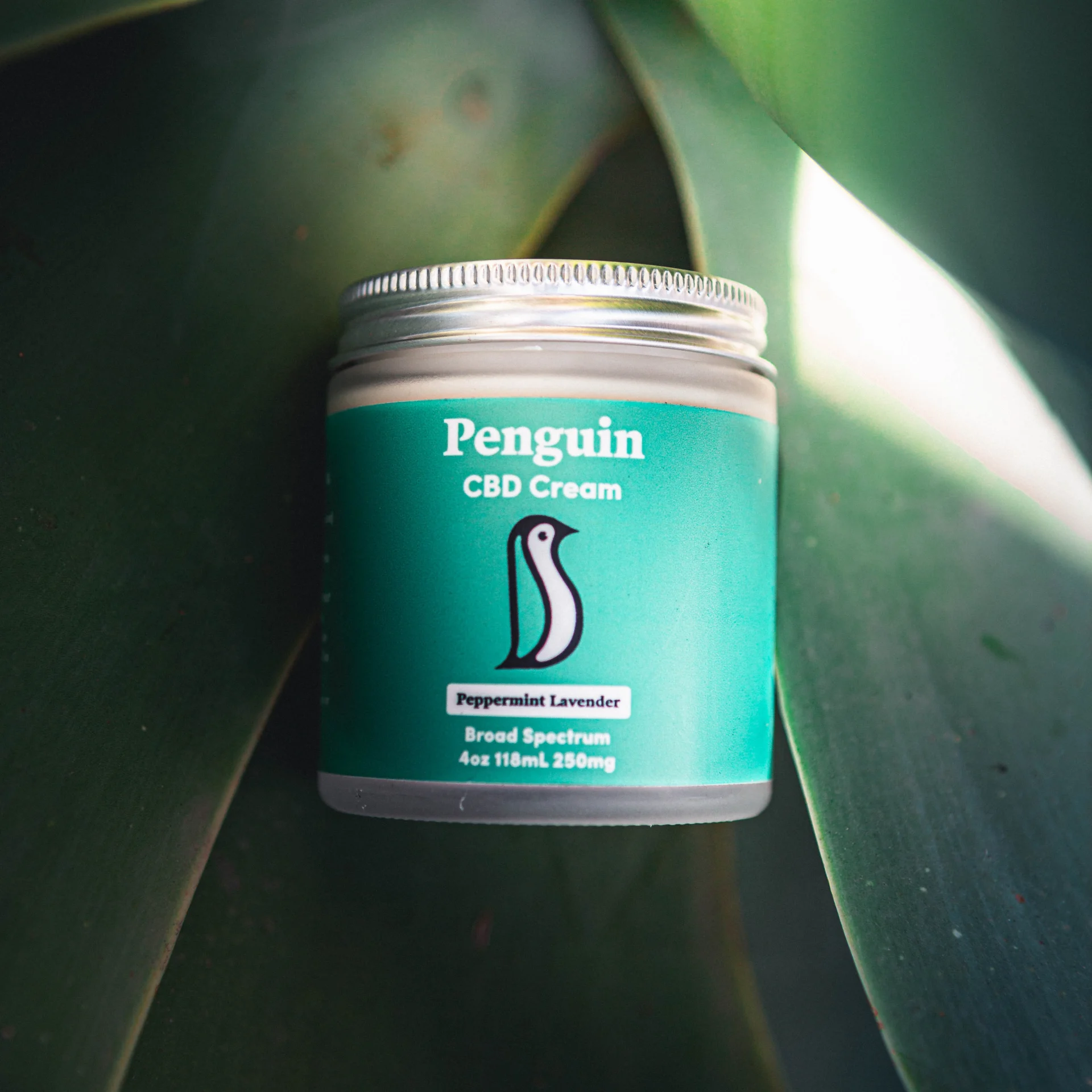 Penguin CBD | Penguin CBD Scholarship