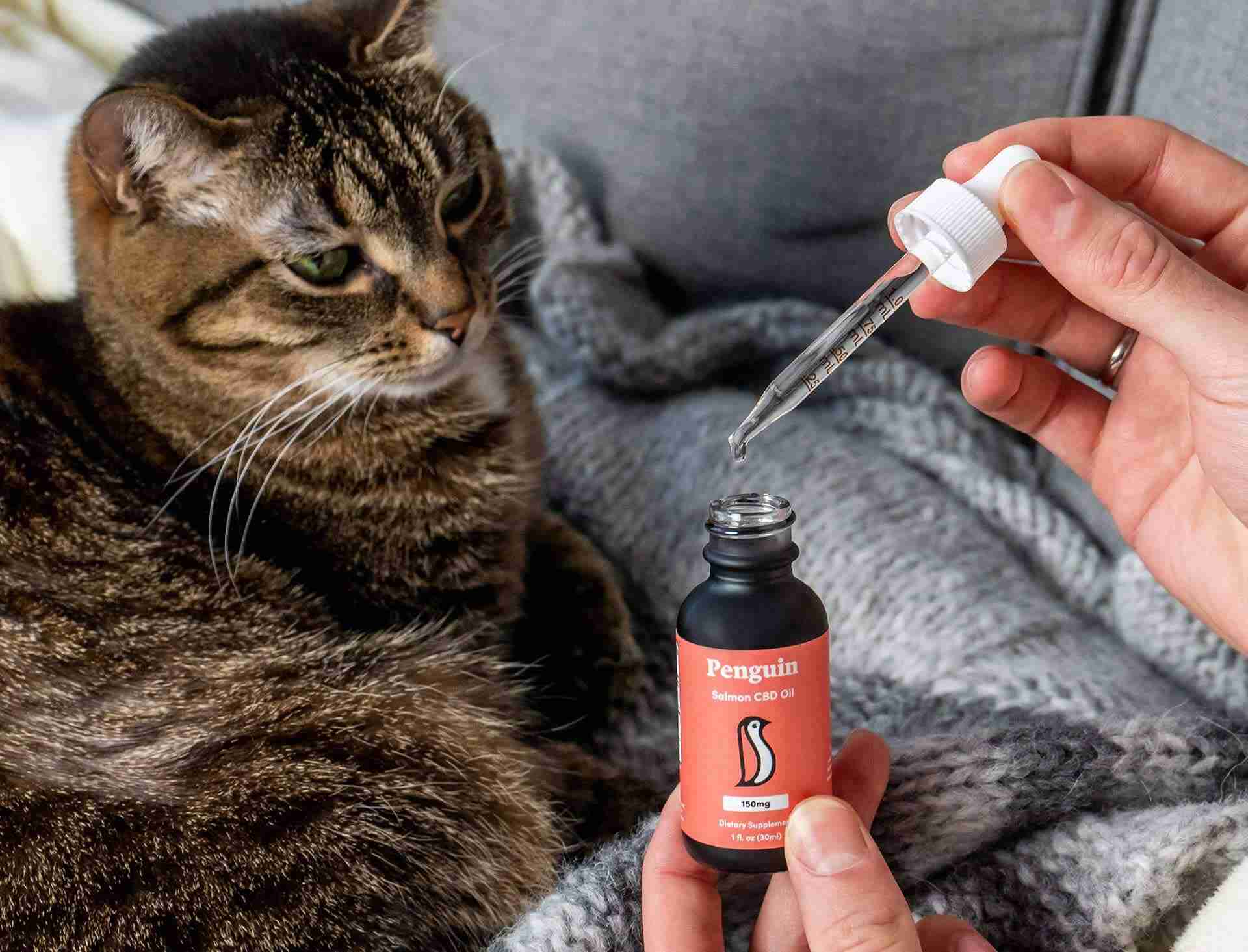 Penguin CBD | CBD Cat Oil