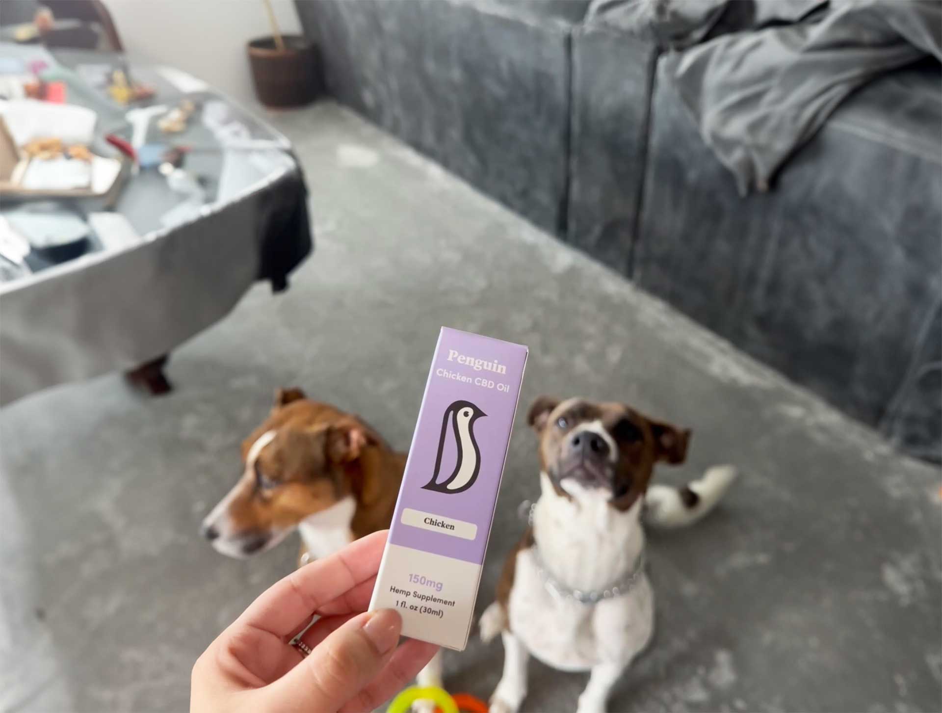 Penguin CBD | Dog CBD Oil