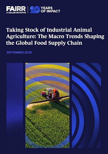State of the market report cover