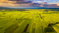 Fields 