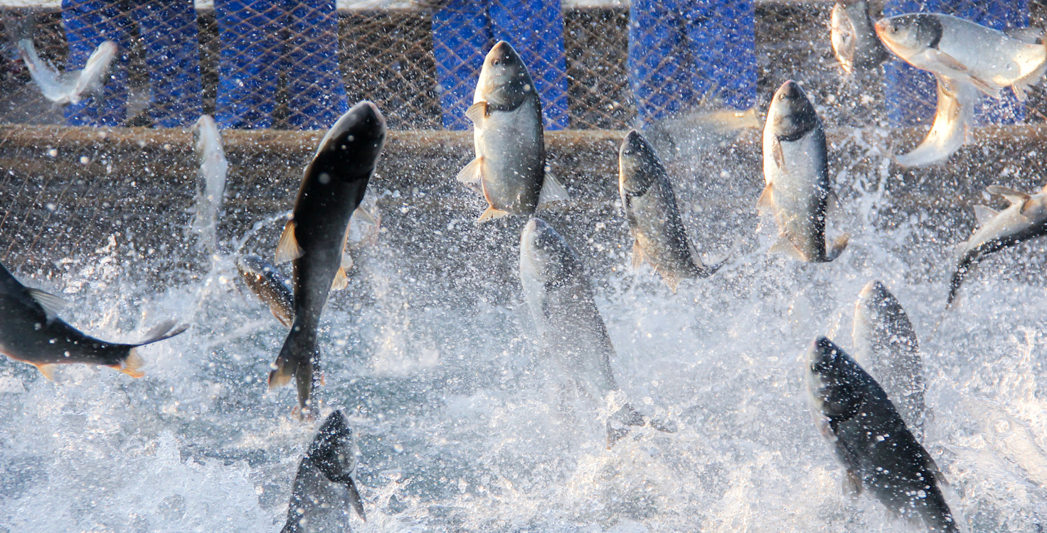 iStock-2165834346 (1)