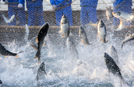 iStock-2165834346 (1)