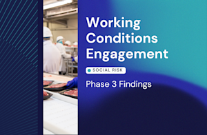 Working Conditions Phase 3 Findings