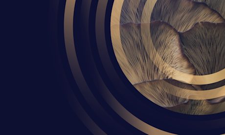 Alternative Protein Video Thumbnail