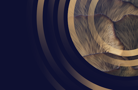 Alternative Protein Video Thumbnail