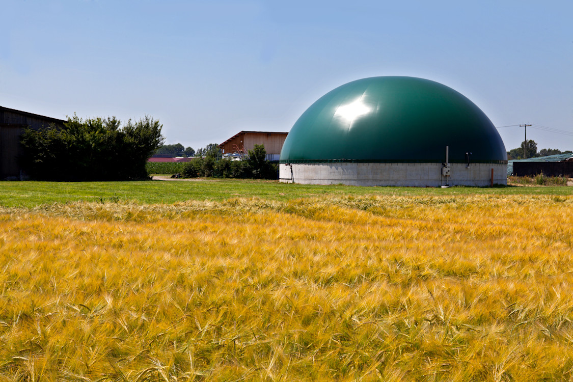 Bio gas plant in corn fields