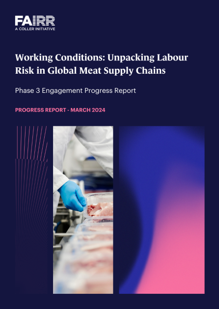Working Conditions P3 Report Cover
