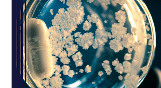 OakxFAIRR AMR video Thumbnail