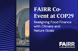 FAIRR Co-hosted event at COP29 with WWF