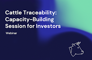 Cattle Traceability: Capacity-Building Session for Investors Webinar Recording Thumbnail