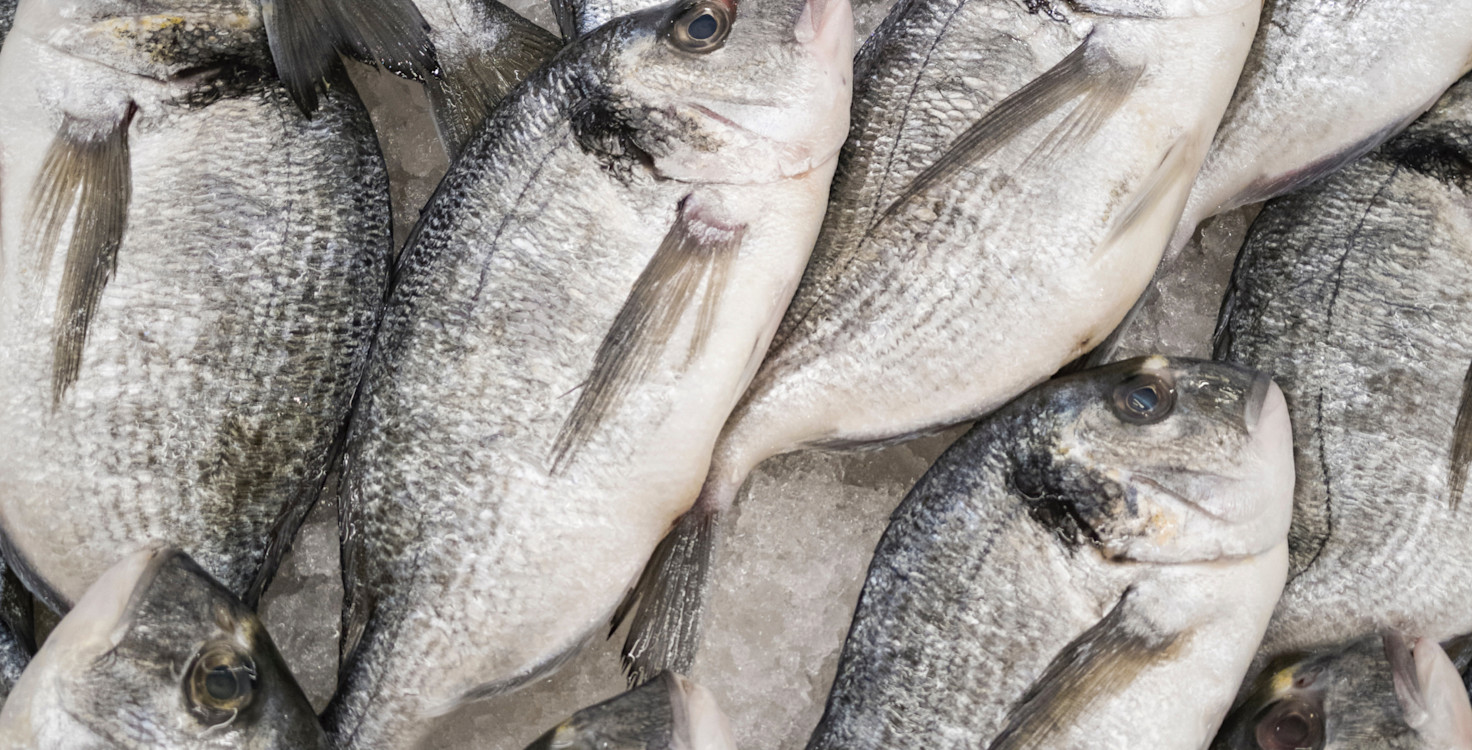 Food-Safety-12.jpg