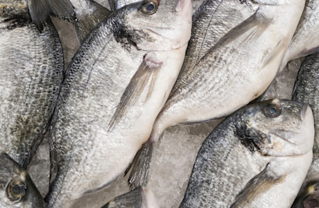 Food-Safety-12.jpg