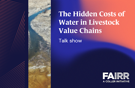 The Hidden Costs of Water in Livestock Value Chains Talk show