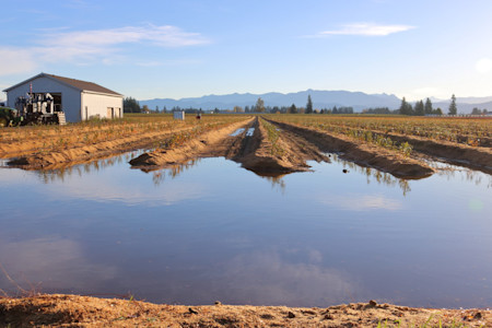 farm flooding