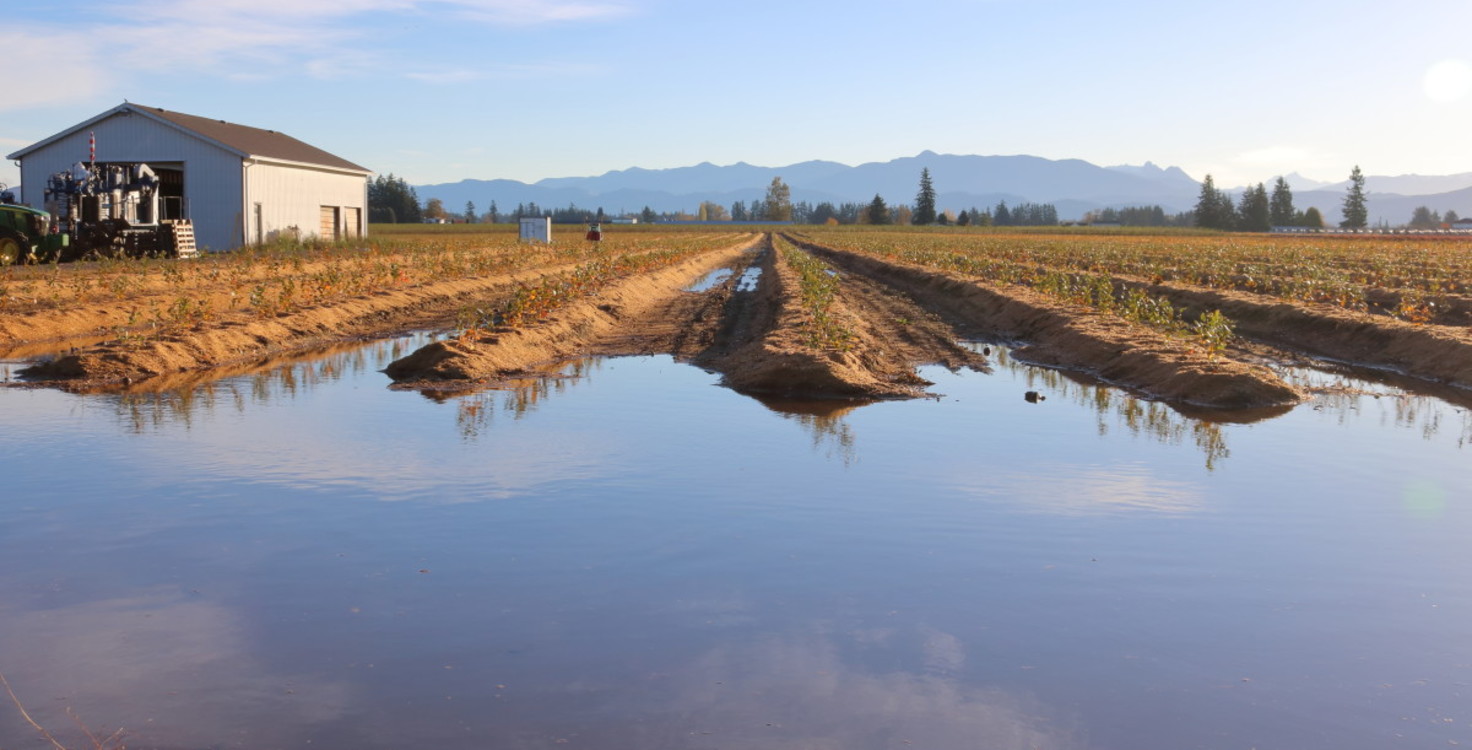 farm flooding