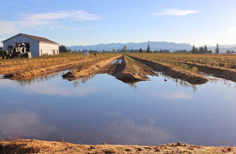 farm flooding