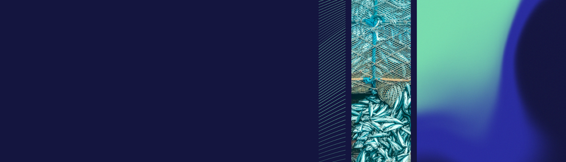 Seafood Index Background Banner