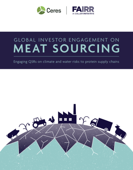 Meat-Sourcing-Phase-3 Report