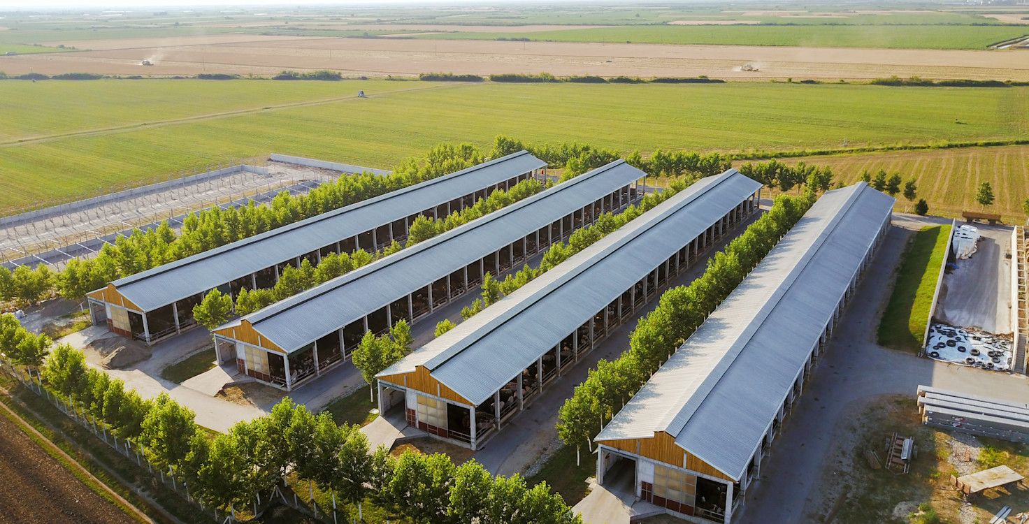 Index 2023 report cover