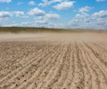 Dry field