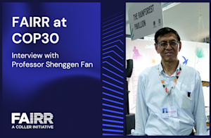 COP30 Interview with Professor Shenggen Fan