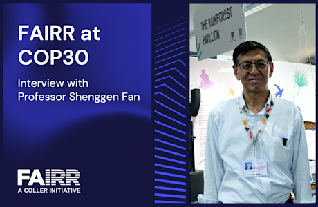 COP30 Interview with Professor Shenggen Fan