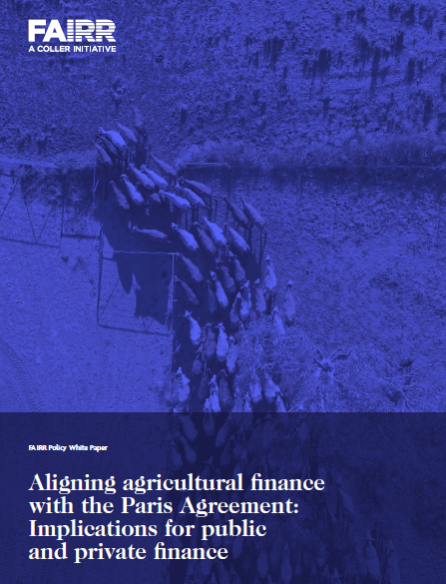 Aligning Agricultural Finance with the Paris Agreement Report